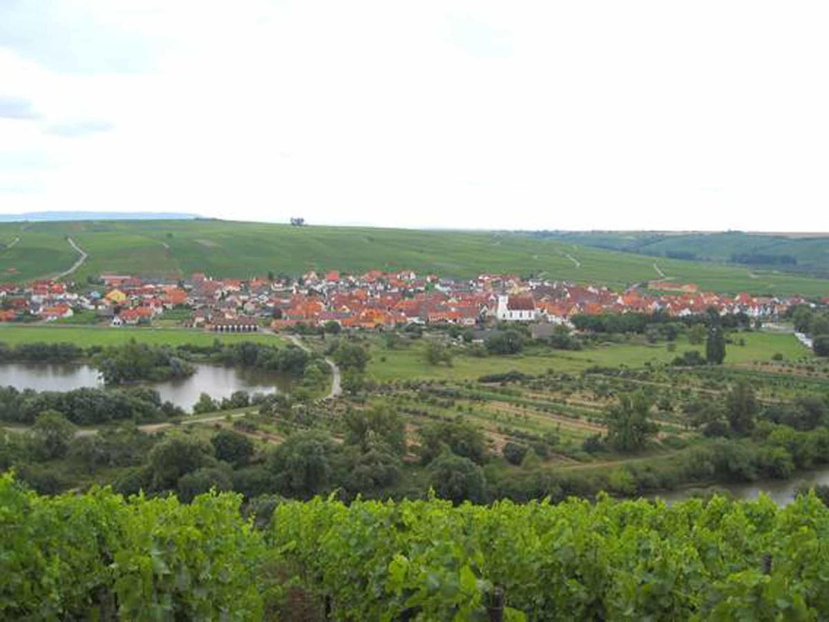 ノルトハイムFerien- Und Winzerhof Ute Braunアパートメント エクステリア 写真
